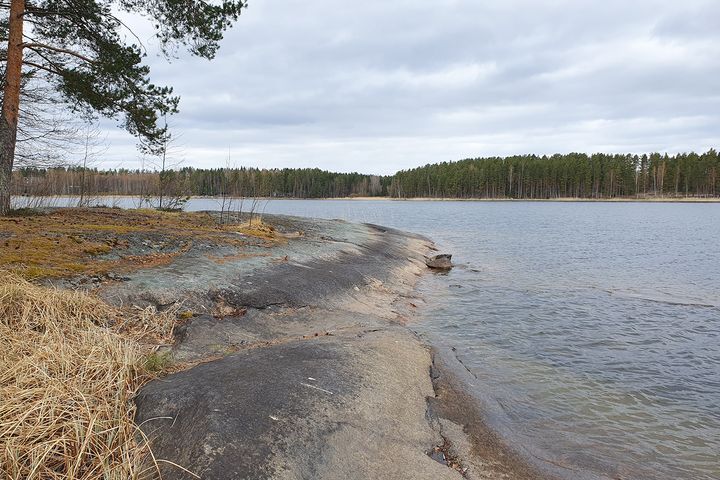 Rantamaisemaa.