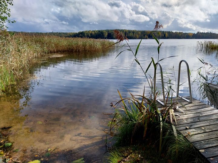 Ruoppauksen tavoitteena on usein pitää vesialue avoimena ja syventää rantaa. Kuvassa ranta ja laituri.