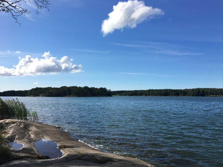 Aurinkoinen vesistömaisema.