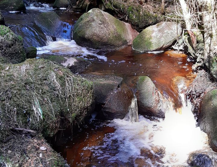 Pieni puro virtaa kivien yli metsän keskellä.