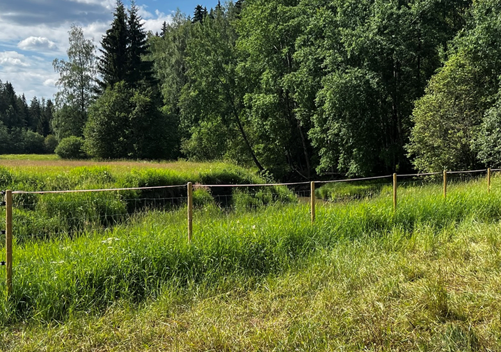 Petoaita pellolla, taustalla metsää.