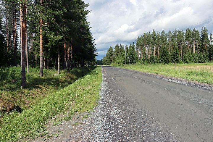 Kesäinen kuva soratiestä, jonka molemmilla puolilla on metsää.