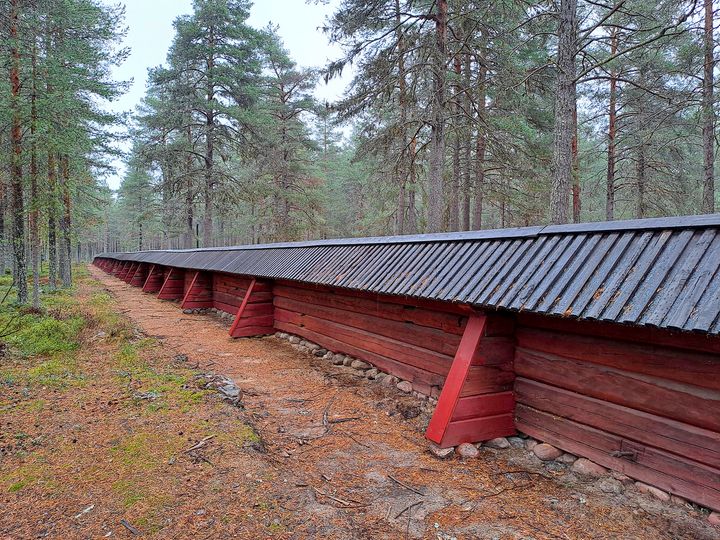 Punainen%20hirsinen%20aita%2C%20jossa%20on%20kate%20p%E4%E4ll%E4.