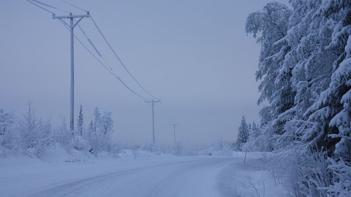 Luminen tie talvipäivän hämäräss.