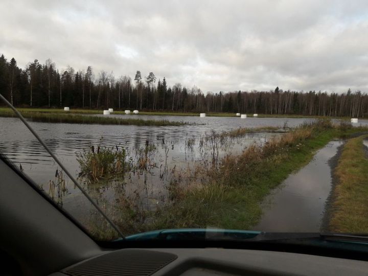 Kruunupyynjoki on tulvinut pelloille.