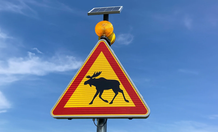 På riksväg 8 installeras nya smarta viltvarningssystem på tre platser för att minska hjortdjursolyckor i Korsholm och Nykarleby.