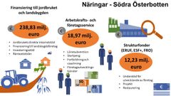 Finansiering: Ansvarsområdet för näringar, arbetskraft och kompetens