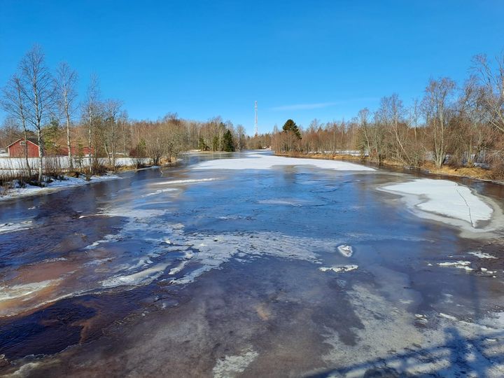 Kuvituskuva.