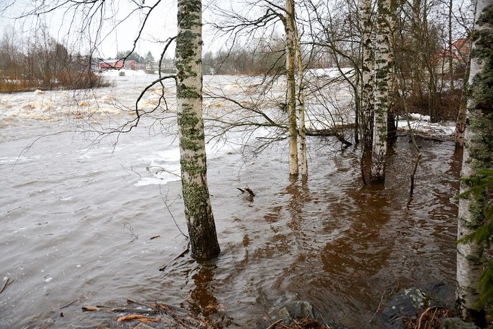 Kyrönjoen Malkakoskella. Kuvituskuva.