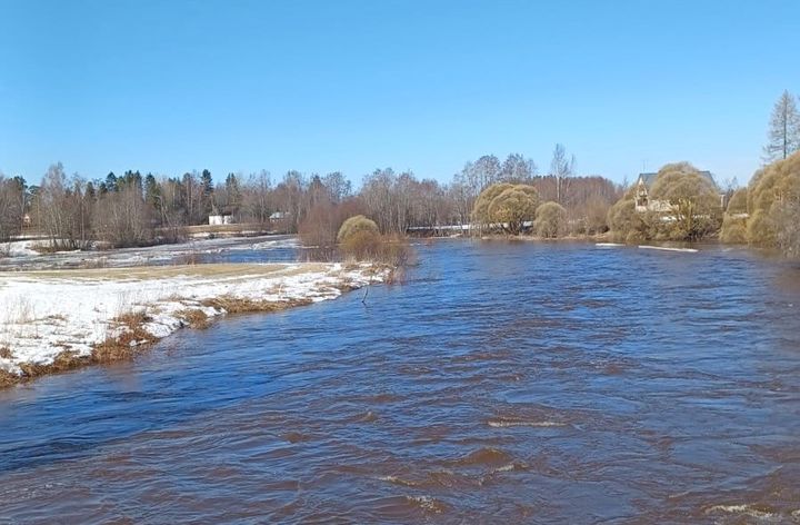 Kuva Kauhajoen Harjankoskelta 9.4.2024. Kuvituskuva.