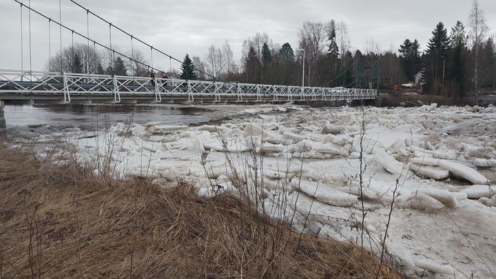 Merikaarron riippusilta. Kuva: