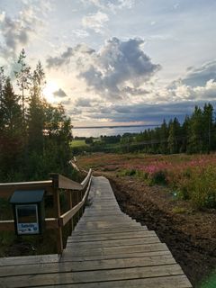 Kuntoportaat ilta-auringossa