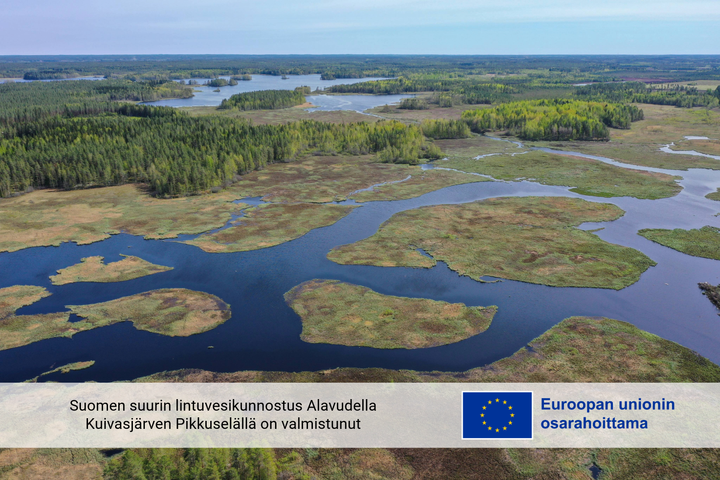 Suomen suurin lintuvesikunnostus Alavudella Kuivasjärven Pikkuselällä on valmistunut. Pikkuselkä kuvattuna toukokuussa 2024. Kuvasta näkyy valmis ruopattu alue mosaiikkimaisine avovesialueen. Kuvassa myös EU-logo.