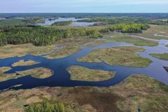 Pikkuselkä kuvattuna toukokuussa 2024. Kuvasta näkyy valmis ruopattu alue mosaiikkimaisine avovesialueen.