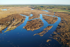 Dronella otettu ilmakuva, jossa näkyy järven ruopattua osiota.
