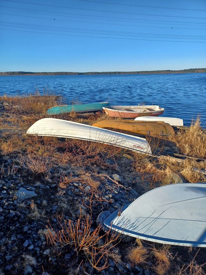 Järven rannalla on soutuveneitä nurin käännettynä.