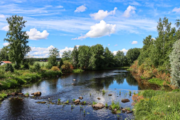 Kuvituskuva.