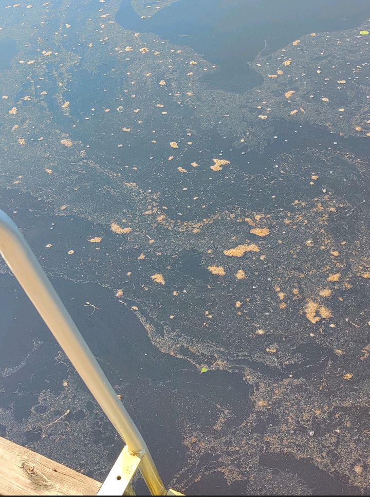 Kuvituskuva.
