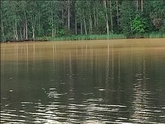 Kuvituskuva.