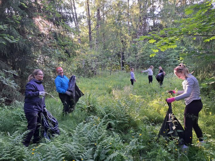 Vieraslajitalkoot Vaasan Korkeamäellä.