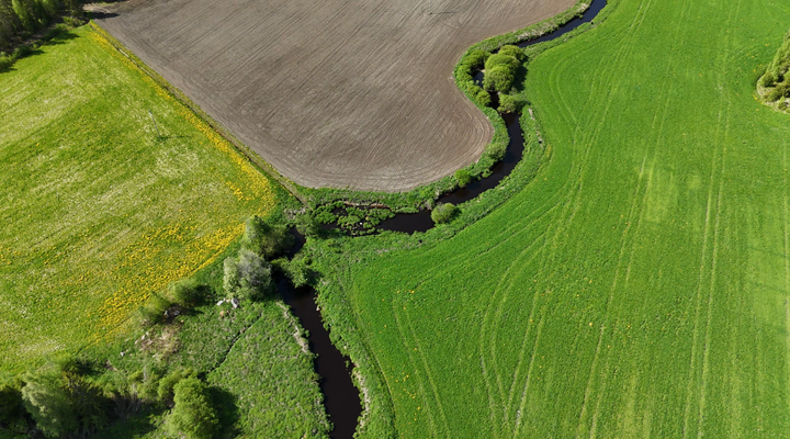 A drone photo of a green agricultural landscape. A river flows between the fields.