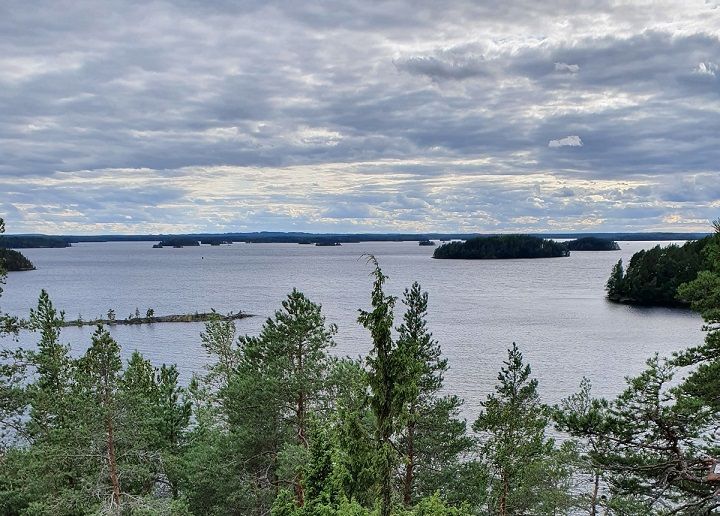 Puiden reunustama, latvojen yli aukeava näkymä ulapalle