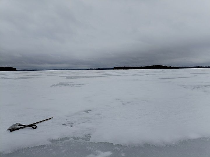 Lumipeitteinen järven jää Korpijärvellä.