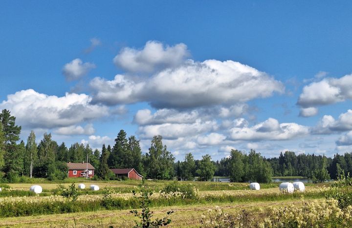 Perinteinen maalaismaisema, jossa maalaistalo