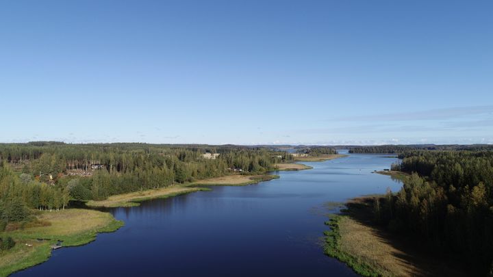 Haminanvuolle.
