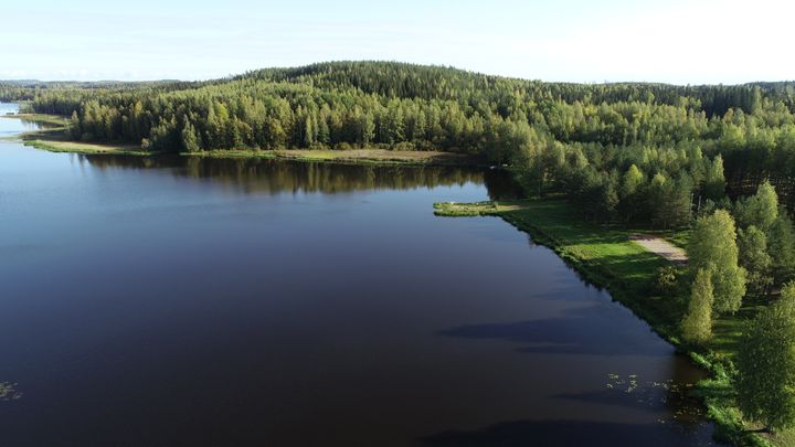 Haminanvuolle.