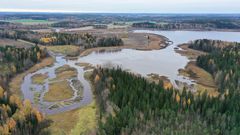 Ansionjärvi kuvattuna ilmasta käsin dronella.