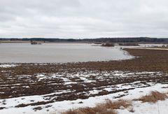 Tulviva Loimijoki.