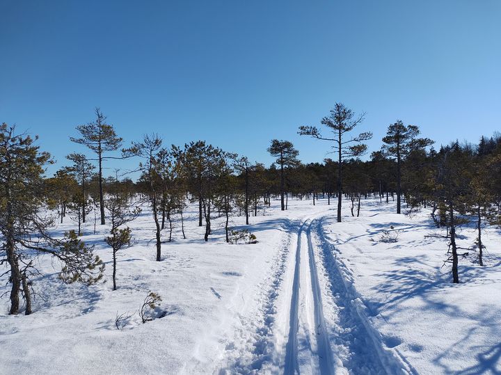Hiitolatu talvisessa suomaisemaisemassa.