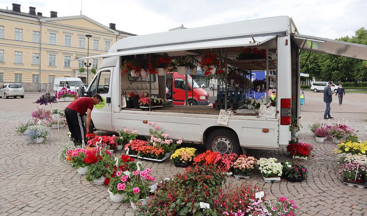 Kukkamyyntiä Hämeenlinnan torilla, kuvituskuva.