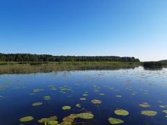 Kuvaa Vesijärven rannalta Teräväisiltä.