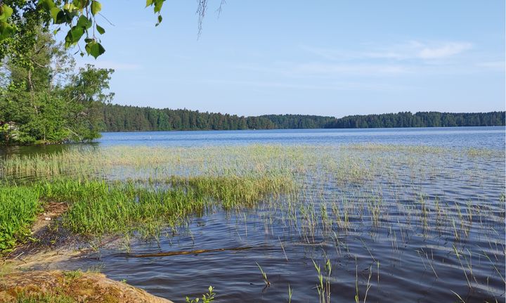 Kesäinen järvinäkymä.