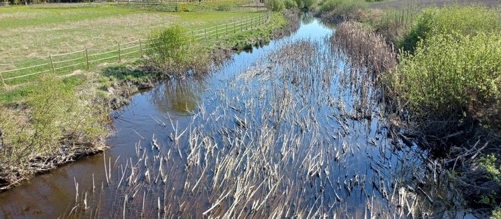 Tervajoen sedimenttitutkimuksen pilaantuneimmat sedimentit löytyivät vanhan kolmostien sillan tuntumasta.