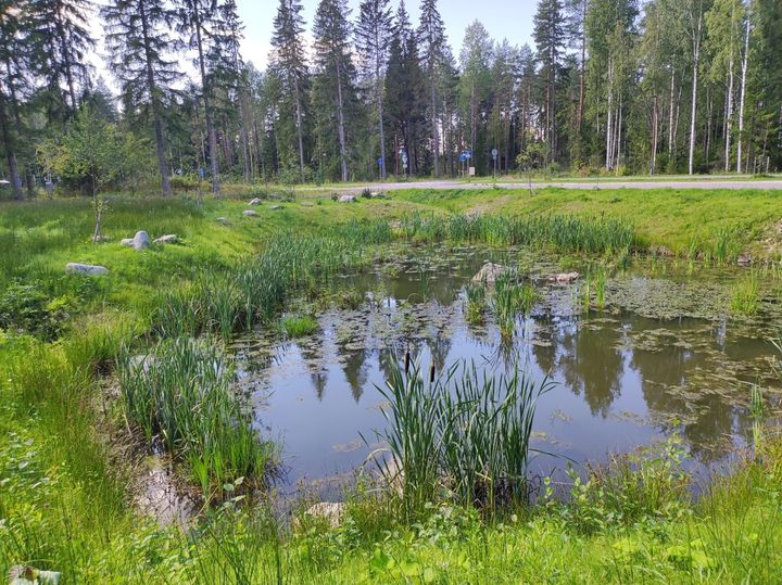 Kuvituskuva: Maisema Hämeestä.