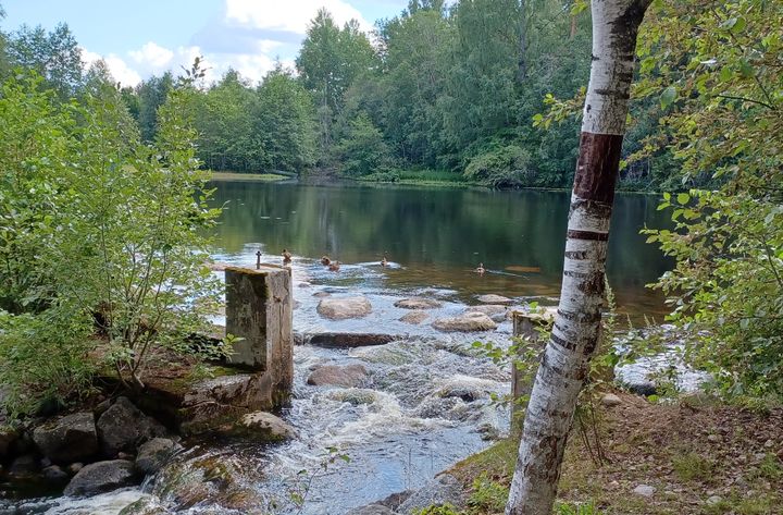 Kuittilankoski.
