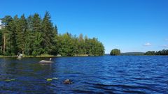 Kankaistenjärvi, Hämeenlinna. Kuvituskuva.