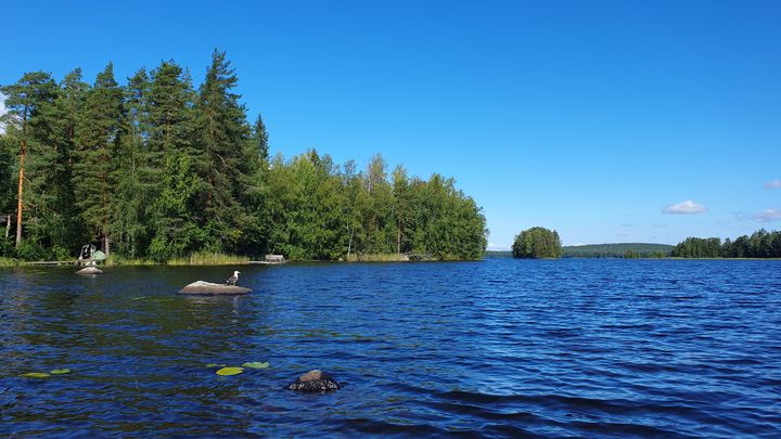 Kankaistenjärvi, Hämeenlinna. Kuvituskuva.