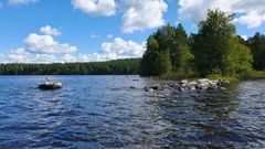 Kuvituskuva, maisemaa Kankaistenjärvellä Hämeenlinnassa.