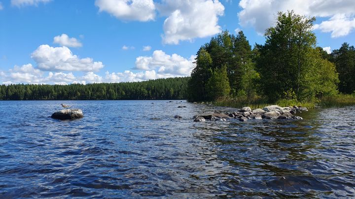 Kuvituskuva, maisemaa Kankaistenjärvellä Hämeenlinnassa.