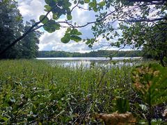 Vantaanjoen alkulähde, Erkylänjärvi. Kuvituskuva.