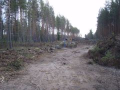 Puustoa on kaadettu ja raivattu metsätieltä, Kouvola.