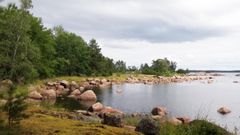 Rantamaisema, jossa kiviä ja metsää meren äärellä.