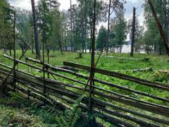 Puinen aita rajaa vehreän metsämaiseman Linnansaaren kansallispuistossa, taustalla siintää järvi.