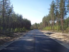 Päällystetty tie kulkee metsän läpi aurinkoisena päivänä.