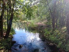 Joen suuta luonto ympärillään, vesi virtaa kivien lomassa.