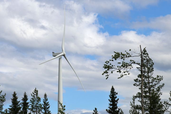 Tuulivoimala kuvattuna kesäpilviä vasten puunlatvojen näkyessä kuvan alareunassa.